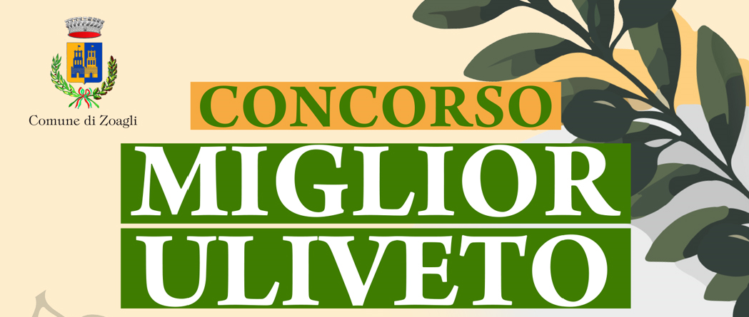 Concorso Miglior Uliveto